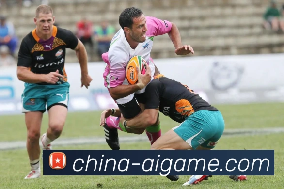 数据防护可视化