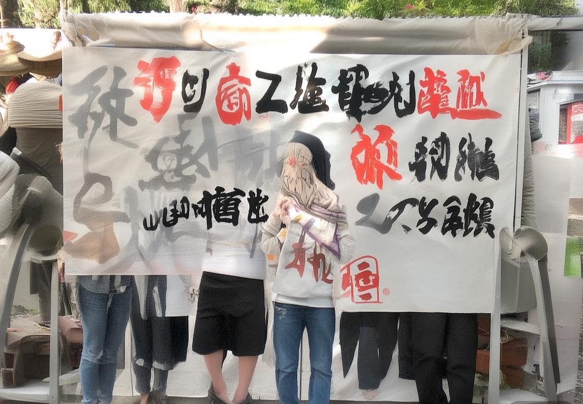 防御正义与法律道德的平衡：戈多伊案例启示(图3)